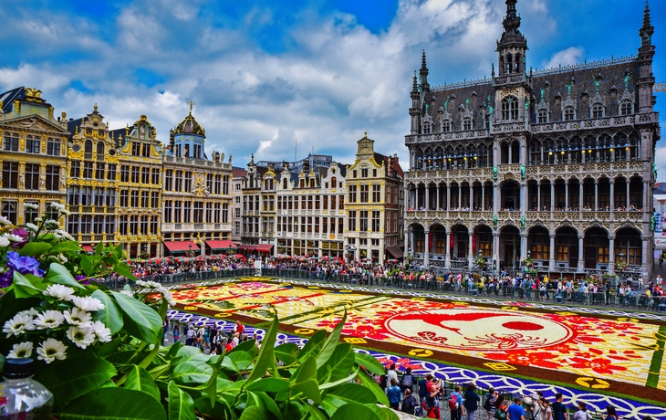 Blumenteppich auf dem Grand Place in Brüssel, umgeben von historischen Gebäuden.