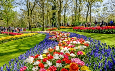Keukenhof 