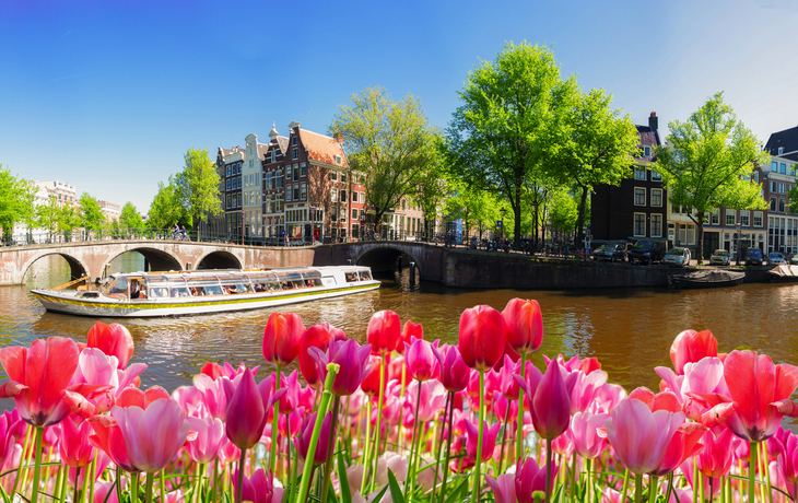 Hausboote und Tulpen an einer Amsterdamer Gracht bei blauem Himmel.