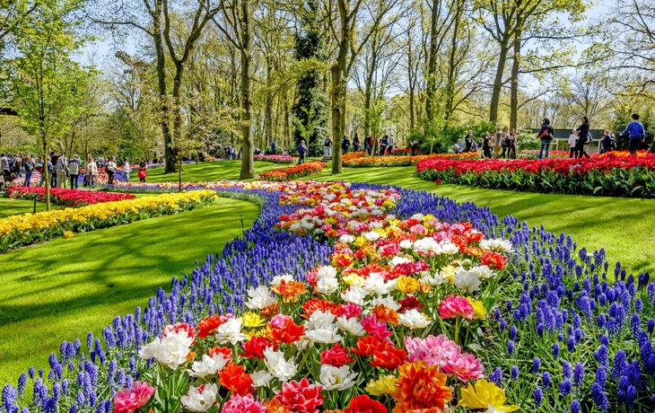 Bunte Blumenbeete schlängeln sich durch einen grünen Park bei Sonnenschein.