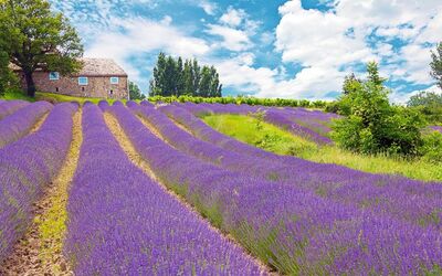 Provence