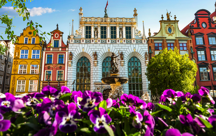 Bunte Altstadtgebäude und Blumen in Danzig bei sonnigem Wetter