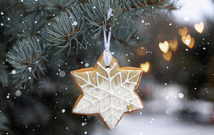 Ein sternförmiger Keks hängt an einem Tannenbaum im Schnee.