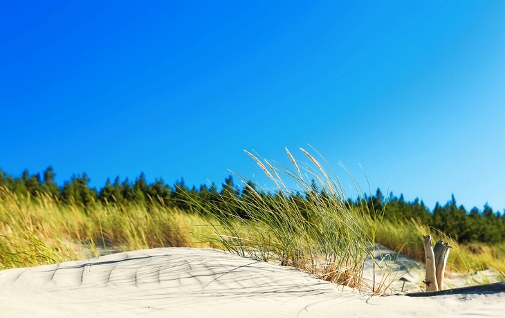Stranddünen mit Gras und einem blauen Himmel im Hintergrund.