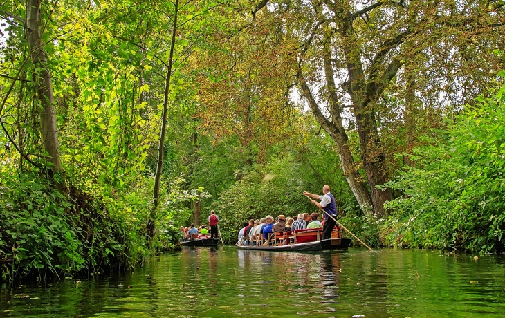 Spreewald