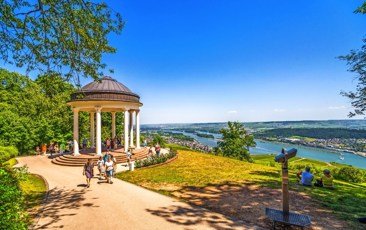 Blick vom Niederwalddenkmal über den Rhein und Rüdesheim am Rhein in Hessen.