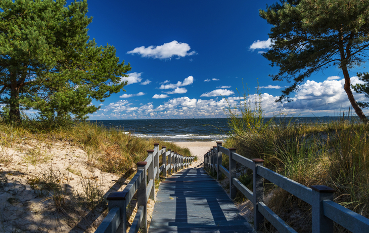 Hölzerner Strandweg zum Meer auf Usedom, umgeben von Sand und Bäumen.
