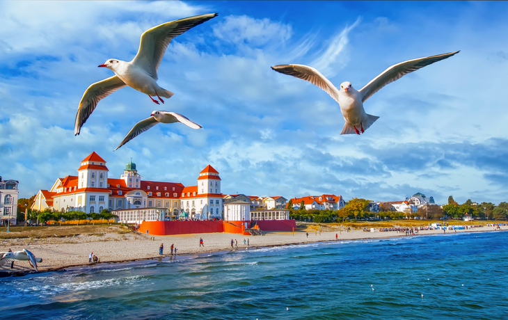 Möwen fliegen über einen Strand mit historischen Gebäuden im Hintergrund.