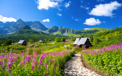 Tatra-Gebirgenahe Zakopane