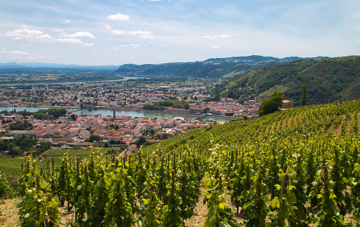 Weinberge mit Blick auf Tain-l'Hermitage und Fluss Rhone