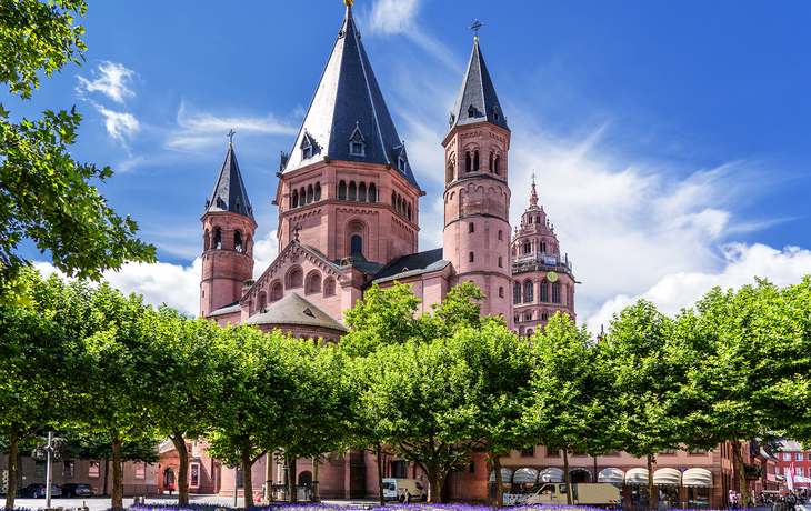 Sandstein-Kathedrale mit Türmen und blühenden Bäumen darunter.