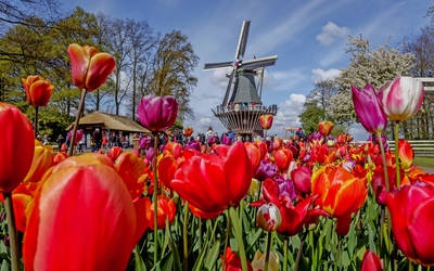 Keukenhof