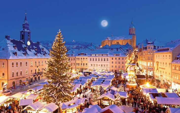 Weihnachtsmarkt mit vielen Ständen und einem großen Weihnachtsbaum bei Nacht