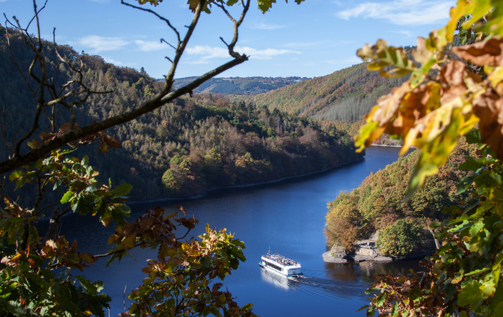 Panorama des Rursees im Nationalpark Eifel mit Wald im Hintergrund.