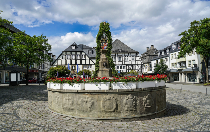Historischer Platz mit Fachwerkhäusern und Blumenbeet in der Mitte.