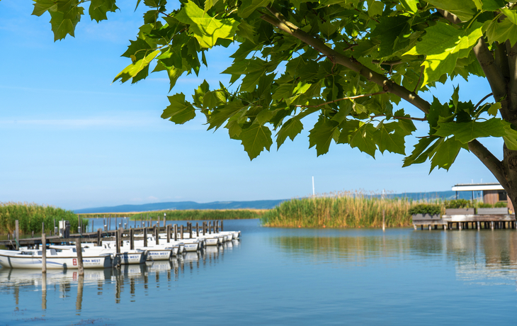 Boote am Steg im Strandbad Neusiedl am See vor Schilf und blauem Himmel