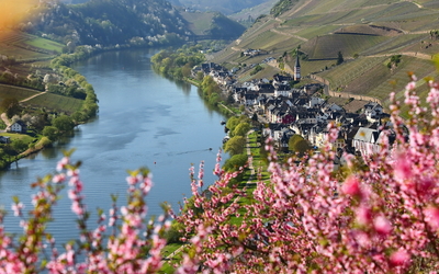 Landschaft der Mosel im Frühling