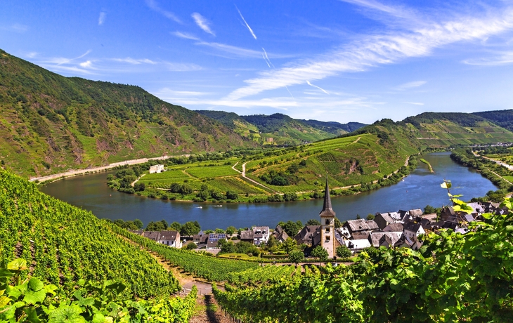 Weinberge und Dorf an einer Flussbiegung unter blauem Himmel.