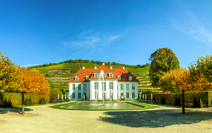 Barockschloss Wackerbarth und Weinberge in Radebeul, Sachsen.