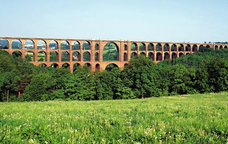 Göltzschtalbrücke in Sachsen mit grüner Landschaft im Vordergrund.