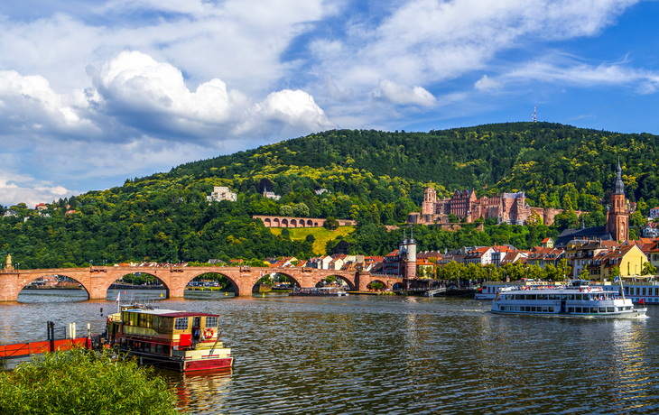 Panorama von Heidelberg mit Neckar und Alter Brücke vor grünem Hügel.