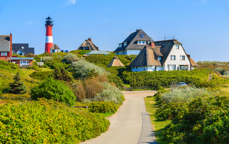 Häuser mit Reetdächern, Leuchtturm und grüne Dünenlandschaft.