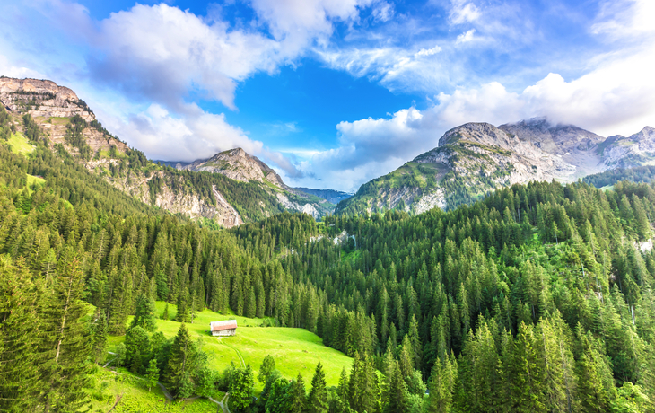 Hütte in grüner Berglandschaft, umgeben von Tannen und Gebirge unter blauem Himmel.