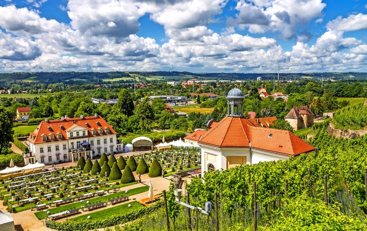 Blick auf Schloss Wackerbarth und umliegende Weinberge in Radebeul, Sachsen.