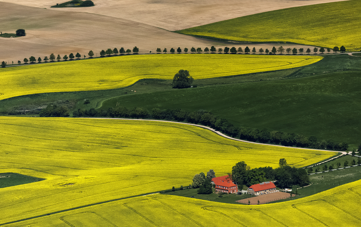 Weite Landschaft mit gelben Feldern und einem Gebäude im Vordergrund.