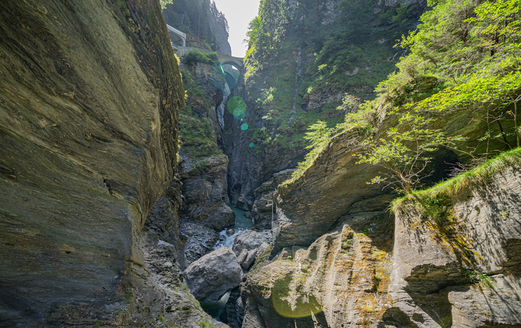 Tiefe Schlucht mit Felsformationen und Bäumen.