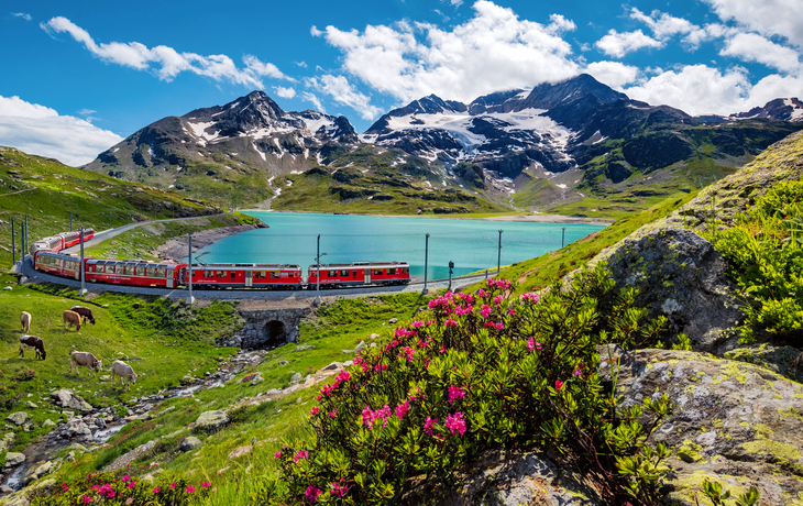 Zug fährt an einem Alpensee vorbei, im Hintergrund schneebedeckte Berge und grünes Tal.